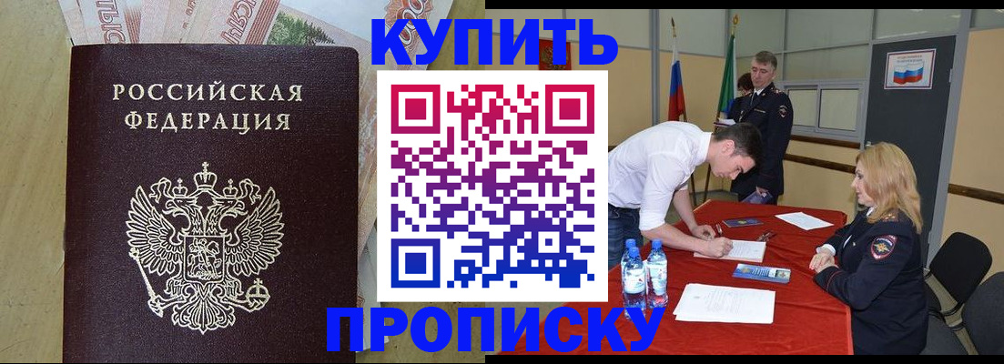 прописка 2025 в Кингисеппе